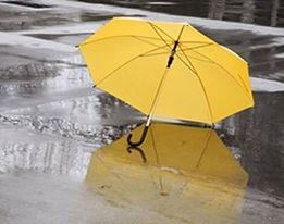 Regenbescherming & Paraplu's